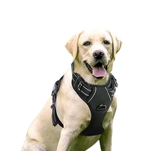 rabbitgoo Dog Harness, No-Pull Pet Harness with 2 Leash Clips, Adjustable Soft Padded Dog Vest, Reflective Outdoor Pet Oxford Vest with Easy Control Handle